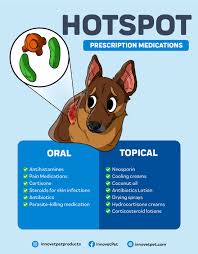 Image result for hotspot dogs