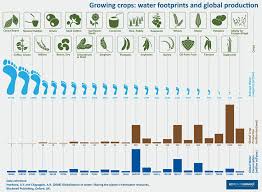This Infographic Shows Water Footprint Of Various Crops Against Their Global Production Water Footprint Infographic Green Energy Design