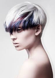 Otis Lin (otis800723)