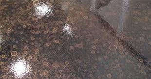 33.167°n / 137.944°e (philippines sea, japan) nearest volcano: Vol 9 No 5 August 2009 Concrete Decor