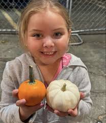 Bobos Beauty Supply Gift & Greeting Cards