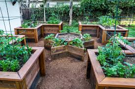 An assortment of small potted plants can do the trick. Raised Bed Vegetable Garden Traditional Landscape San Francisco By Casa Smith Designs Llc Houzz