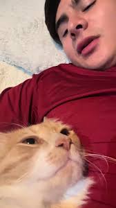 oye micro 🐈 #emiliocovi #fyp