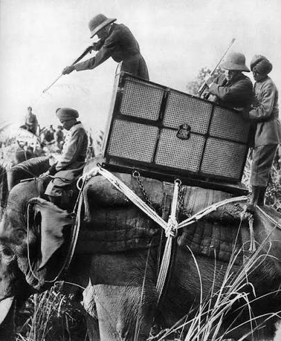 The Prince of Wales and his prize tiger that he shot on his hunting expedition into the Himalayas, Nepal, January 29, 1922. From left. Lord Cromer, Sir Lionel Halsey, The Prince of