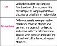 Animal cell parts functions and description. Plant And Animal Cell Worksheets