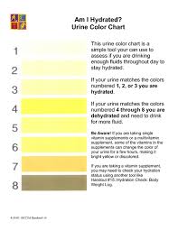 Flow diagram of literature search uti urinary tract. Prekese Ghanamedia Times Diseases And Conditions Urine Colors And Health