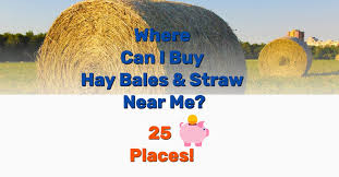 Our crews are extremely busy so please do not ask them to place bales further than 20 ft. Where Can I Buy Hay Bales And Straw Near Me 25 Places Frugal Living Coupons And Free Stuff