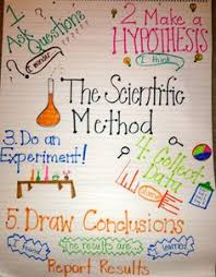 96 Best Science Anchor Charts Images Science Anchor Charts