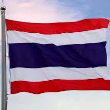 ลักษณะธงชาติที่นำมาใช้ ธงชาติที่จะนำมาใช้ ชัก หรือแสดง ต้องมีสภาพดีเรียบร้อย ไม่ขาดวิ่น และสีไม่ซีดจนเกินควร 4. à¹€à¸£à¸²à¸£ à¸à¸˜à¸‡à¸Šà¸²à¸• à¹„à¸—à¸¢ Home Facebook
