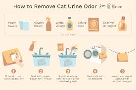 how to remove cat urine odor from laundry
