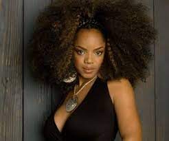 Famous Black African American Female Singers With Natural Hair Natural Hair Styles Black Natural Hairstyles Curly Hair Styles