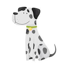 Image result for dalmatin