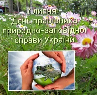 https://encrypted-tbn0.gstatic.com/images?q=tbn:ANd9GcSL-L8-bzSC0D1sa1yaLvjLMk990CHrvYGoCidfTJPGnA&s=10