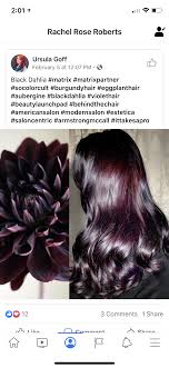 Black Dahlia Hair Color In 2020 Burgundy Hair Black Dahlia Violet Hair
