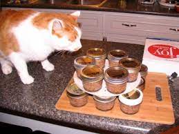 Homemade Cat Food Recipes Homesteading Simple Self Sufficient Off The Grid Homesteading Com Homemade Cat Food Canned Cat Food Cat Food