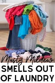 Alternatively, soak clothes in vinegar: How To Get Mold Out Of Clothes Arxiusarquitectura