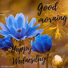 Wednesday good morning images photo wallpaper free download. Best Good Morning Wednesday Wishes Images And Greetings 2020