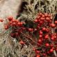 Wreath Making Workshop