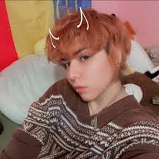 Would anyone be interested in amiibo figures?