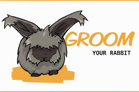 Why is my rabbit laying on its side and shaking? How To Groom A Rabbit Brushing Nail Clipping Ear Cleaning