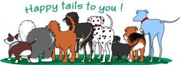 Image result for images dog wags tail