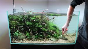The colors you like for your aquascape and how fine you want the pebbles to be is up to you. Aquascape Maintenance In Aquarium Gardens Showroom Youtube