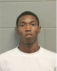 ᐅ Illinois Criminal Records 2009-2025