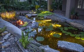 Led Pond Lighting Premiere Aquascapes