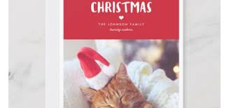 Option to upload your picture in the back of the book. Cat Cards Archives Pet Lover S Apparel And Products
