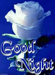 Mais Recente Boa Noite Rose Pic Para Whatsapp Dp Good Night Love Images New Good Night Images Good Night Wallpaper