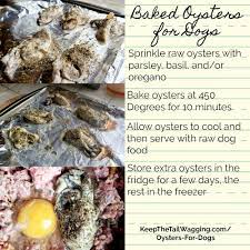 How To Cook Oysters For Dogs Keep The Tail Wagging