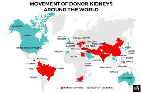 Organ donation is often spoken of highly. Sinister Asean Trading In Human Organs The Asean Post