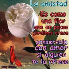 La Amistad Es Como Una Flor Que En Pocos Jardines Crece Conservala Con Amor Si Alguien T Feliz Dia De La Amistad Dia De Amor Y Amistad Citas Sobre Amigos