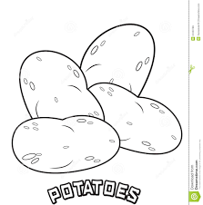 Download 3,900+ royalty free potatoes coloring vector images. Potatoes Coloring Page Stock Illustration Illustration Of Artwork 51223769