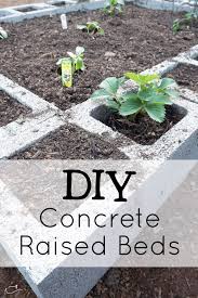 Maybe you would like to learn more about one of these? Diy Concrete Raised Beds Little Dove Blog