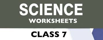 Cbse Class 7 Science Worksheets Science Worksheets Science Sample Paper