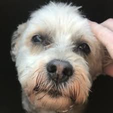 Sandra witter (@Sandrawitter9)