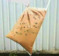 22,305 likes · 6 talking about this. à¦Ÿ à¦‡à¦Ÿ à¦° Hanifdaslepzz Ini Lh Syurga Segala Air Teh Ais Ikat Tepi Aneeeeee Satu