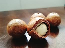 Why Eating Macadamia Nuts Might Benefit Your Diet In 2019 Good Food Pinterest