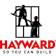 Hayward Lumber logo