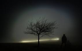 Marfa Ghost Lights Strangest Paranormal Mystery In Texas Ghost Lights Marfa Lights Marfa