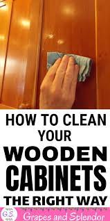 Even with diy cleaning methods, some cabinets need to be. How To Clean Your Wooden Cabinets The Right Way Wooden Kitchen Cabinets Wooden Cabinets Cleaning Wood Cabinets