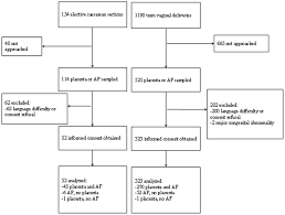 Flow Chart Of Women Participating In The Study Amniotic