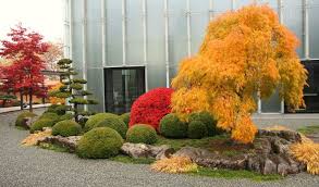 Japanese Gardening Garten Asia Garten