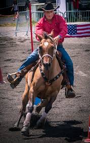 Western cowboy bulle rodeo gürtelschnalle buckeln western farbe emaille. Pferd Rodeo American Kostenloses Foto Auf Pixabay