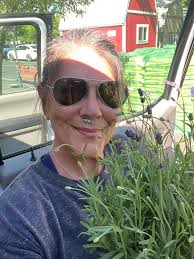 Smaller bloomed lavender fragrance comparison