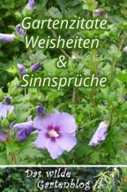 Wenn ergebnisse zur automatischen vervollständigung angezeigt werden, verwenden die pfeile nach oben und unten, um sie dir anzusehen und sie auszuwählen. Gartenzitate Weisheiten Und Sinnspruche Das Wilde Gartenblog