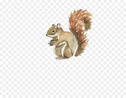 Eichhörnchen word vorlage professionell erstellt für dokumente, titelseiten und vollständig kompatibel mit jeder größeren version von microsoft word. Eichhornchen Aquarell Vorlage Eichhornchen Png Herunterladen 776 699 Kostenlos Transparent Eichhornchen Png Herunterladen