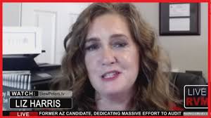 Liz Harris Discusses Results of an Independent Canvass Audit in Maricopa,  Arizona