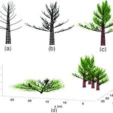 Maybe you would like to learn more about one of these? A Comparison Between Simulated And Measured Echoes For A Maple Tree Download Scientific Diagram